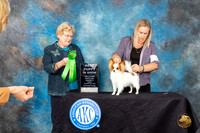 Papillion #26 Friday 2 BPUP Judge Judith A Brown