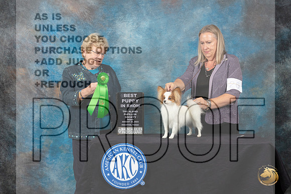 Papillion #26 Friday 2 BPUP Judge Judith A Brown_JP_0053_ToyHstn2023_HR3
