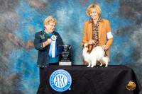 Papillion #7 Friday 2 BOWM Judge Judith A Brown