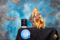 Pomeranian #? Friday 2 WBCH Judge John Constantine-Amodei
