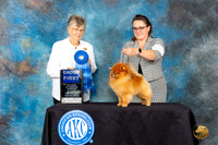 Pomeranian #25 SAT G1 Judge Doris Cozart