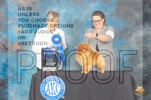 Pomeranian #25 SAT G1 Judge Doris Cozart_JP_0697_ToyHstn2023_HR3