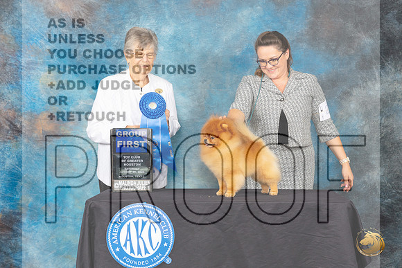 Pomeranian #25 SAT G1 Judge Doris Cozart_JP_0698_ToyHstn2023_HR3