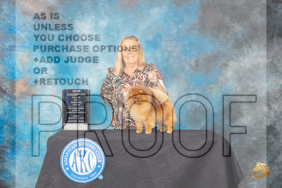 Pomeranian #8 Friday 2 WBCH Judge John Constantine-Amodei_JP_0019_ToyHstn2023_HR3