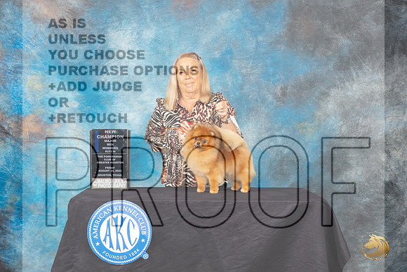 Pomeranian #8 Friday 2 WBCH Judge John Constantine-Amodei_JP_0022_ToyHstn2023_HR3