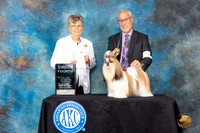 Shih Tzu #22 Sat G4 Judge Doris Cozart
