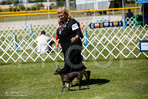 _JJ_8421-AlamogordoOct2014-HR3