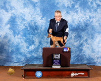 Miniature Pinscher #6 Fri BOB Judge Jan Paulk
