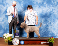 LAGOTTI ROMAGNOLI #5 Fri BOB NCh Judge Jon Cole