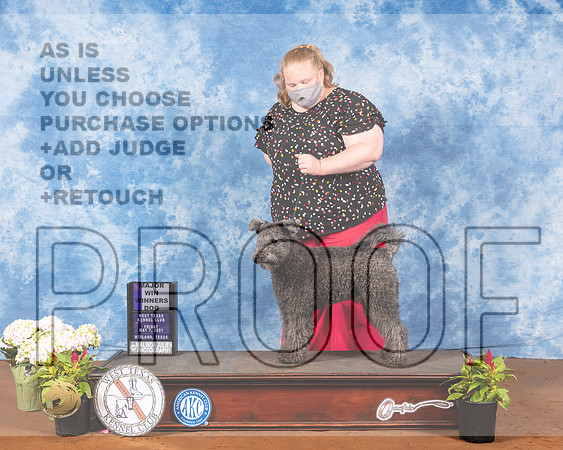Pumi #15 Fri WD Maj Judge Brian MeyerMMJ_0330-MdlndM792021_HR3