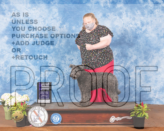 Pumi #15 Fri WD Maj Judge Brian MeyerMMJ_0326-MdlndM792021_HR3