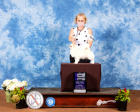 Chihuahua Long Coat #11 Fri WD Maj Judge Cindy Meyer
