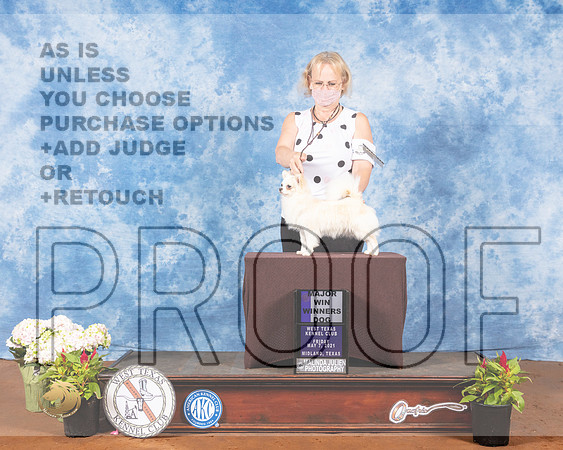 Chihuahua Long Coat #11 Fri WD Maj Judge Cindy MeyerMMJ_0320-MdlndM792021_HR3