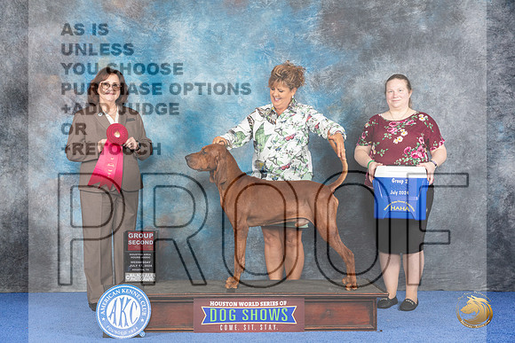 Redbone Coonhound #7 WED G2 Judge Barbara Scherer__JP_7211_Houston_2024_HR3