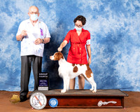 Brittany #5 Fri G4 Judge Col Joe Purkhiser