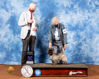 Cairn Terrier #6 Fri G4 Judge Jon Cole