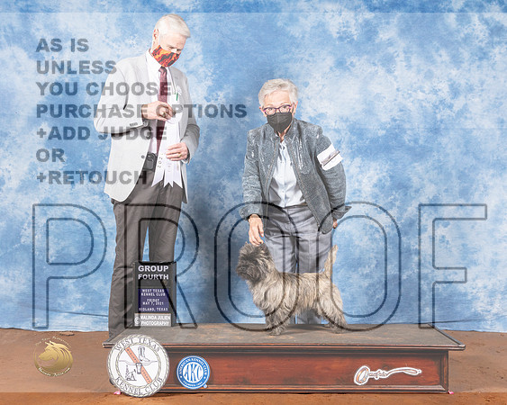 Cairn Terrier #6 Fri G4 Judge Jon ColeMMJ_0454-MdlndM792021_HR3