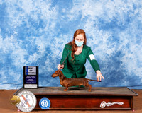 Dachshund Smooth #11 Fri BOW Judge Dr Carol Moser