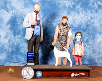 Smooth Fox Terrier #10 Fri G1 Judge Jon Cole