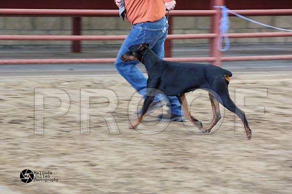 MJ2_0972-WacoFeb14-HR