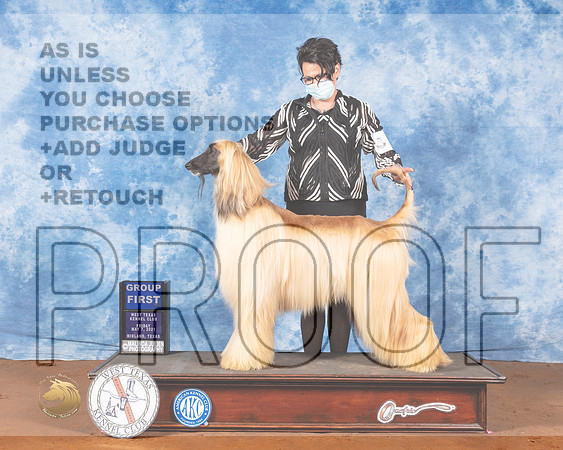 Afghan Hound #5 Fri G1 Judge Dr Carol MoserMMJ_0519-MdlndM792021_HR3