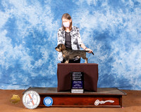 Dachshund Wire #5 Fri OHG2 Judge Col Joe Purkhiser