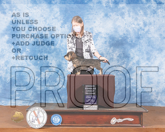 Dachshund Wire #5 Fri OHG2 Judge Col Joe PurkhiserMMJ_0554-MdlndM792021_HR3