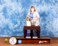 Havanese #14 Fri WB OHBOB Judge Cindy Meyer