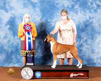 Boxer #14 Fri BIS Judge Jan Paulk