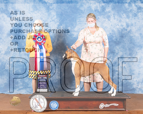 Boxer #14 Fri BIS Judge Jan PaulkMMJ_0638-MdlndM792021_HR3