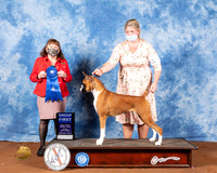 Boxer #14 Fri G1 Judge Cindy Meyer