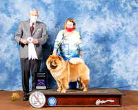Chow #8 Fri G4 Judge Brian Meyer