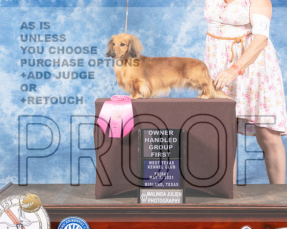 Dachsund Longhaired #9 Fri OGH1 MMJ_0613-MdlndM792021_HR3