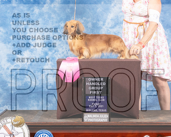 Dachsund Longhaired #9 Fri OGH1 MMJ_0614-MdlndM792021_HR3