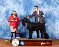 Giant Schauzer #7 Fri G2 Judge Cindy Meyer