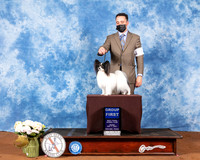 Papillon #9 Fri G1 Judge Jon Cole