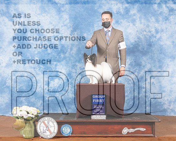Papillon #9 Fri G1 Judge Jon ColeMMJ_0664-MdlndM792021_HR3