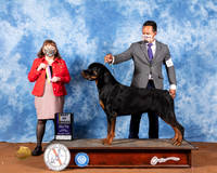 Rottweiler #5 Fri BOB Judge Cindy Meyer