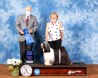 Tibetan Terrier #5 Fri G1 Judge Brian Meyer