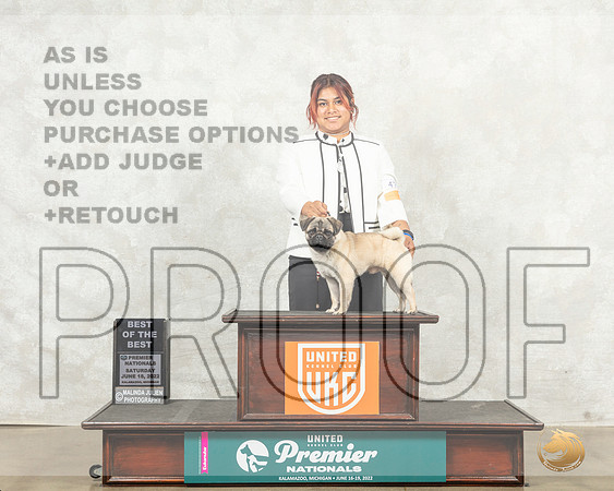 Pug #475 Sat BOB Judge Karen Hynek__MJ_8468_Premier_2022_HR3