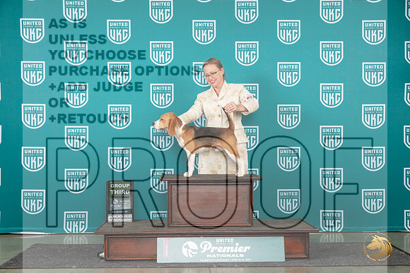 Beagle #894 Sat G3 Judge Diane Price__JP_2406_Premier_2024_HR3