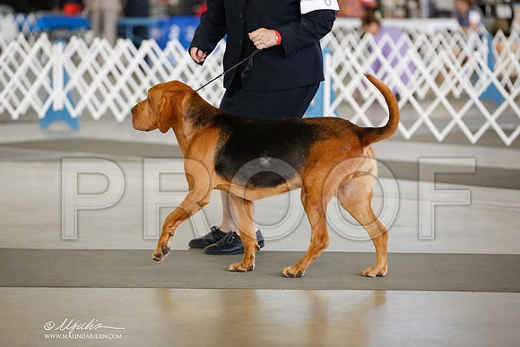_JJ_3907-DallasJul2014-HR3