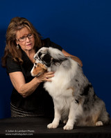 Australian Shepherd Sun Maggie Pryor Stacy Selmal