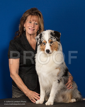 Australian Shepherd Sun Maggie Pryor Stacy Selmal-0298-Longview2017-HR3