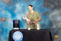 Chinese Crested #14 Sun WBBOWCH Judge Linda Hurlebaus