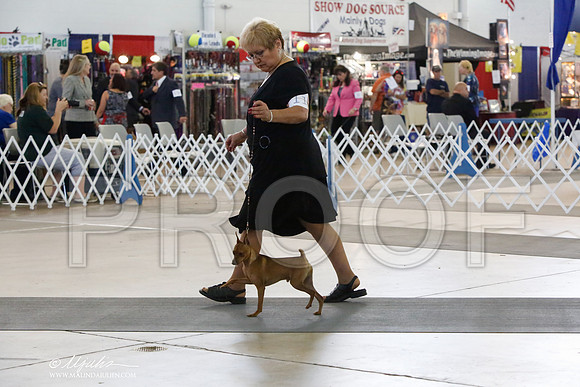 _HR_1362-DallasJul2014-HR3