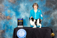 Japanese Chin #5 Sun BOB Judge Doris Corzart