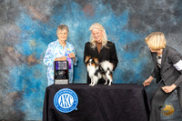 Papillon #5 Sun WDCH Judge Doris Cozart