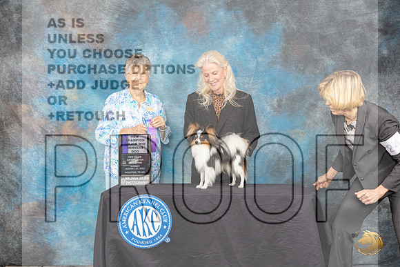 Papillon #5 Sun WDCH Judge Doris Cozart_JP_0817_ToyHstn2023_HR3