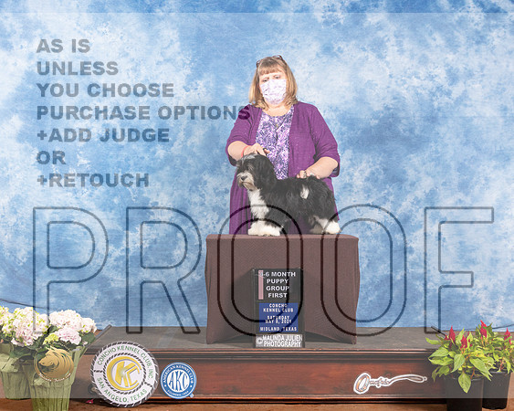 Havanese #16 Sat PG1 Judge Helen DorranceMMJ_0838-MdlndM792021_HR3